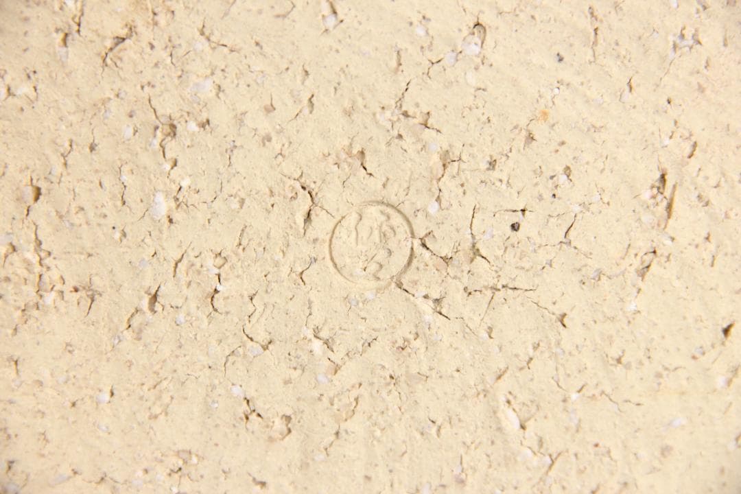 茶道具　十一代 三輪休雪 萩焼　平皿　鉢 共箱 FJ9-9