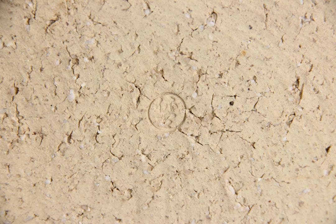 茶道具　十一代 三輪休雪 萩焼　平皿　鉢 共箱 FJ9-9