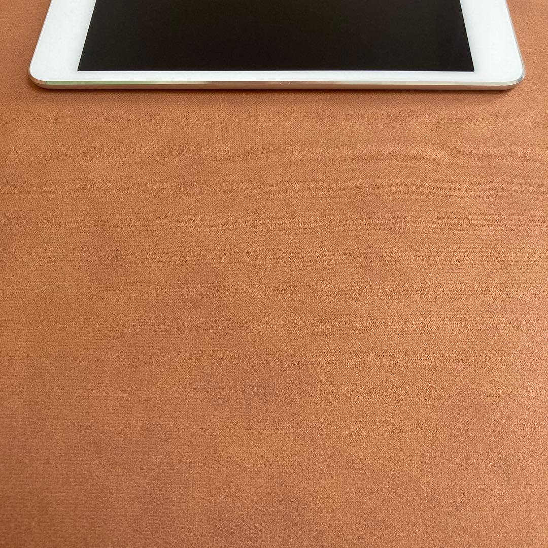483【早い者勝ち】iPad mini4 第4世代 16GB WIFIモデル☆
