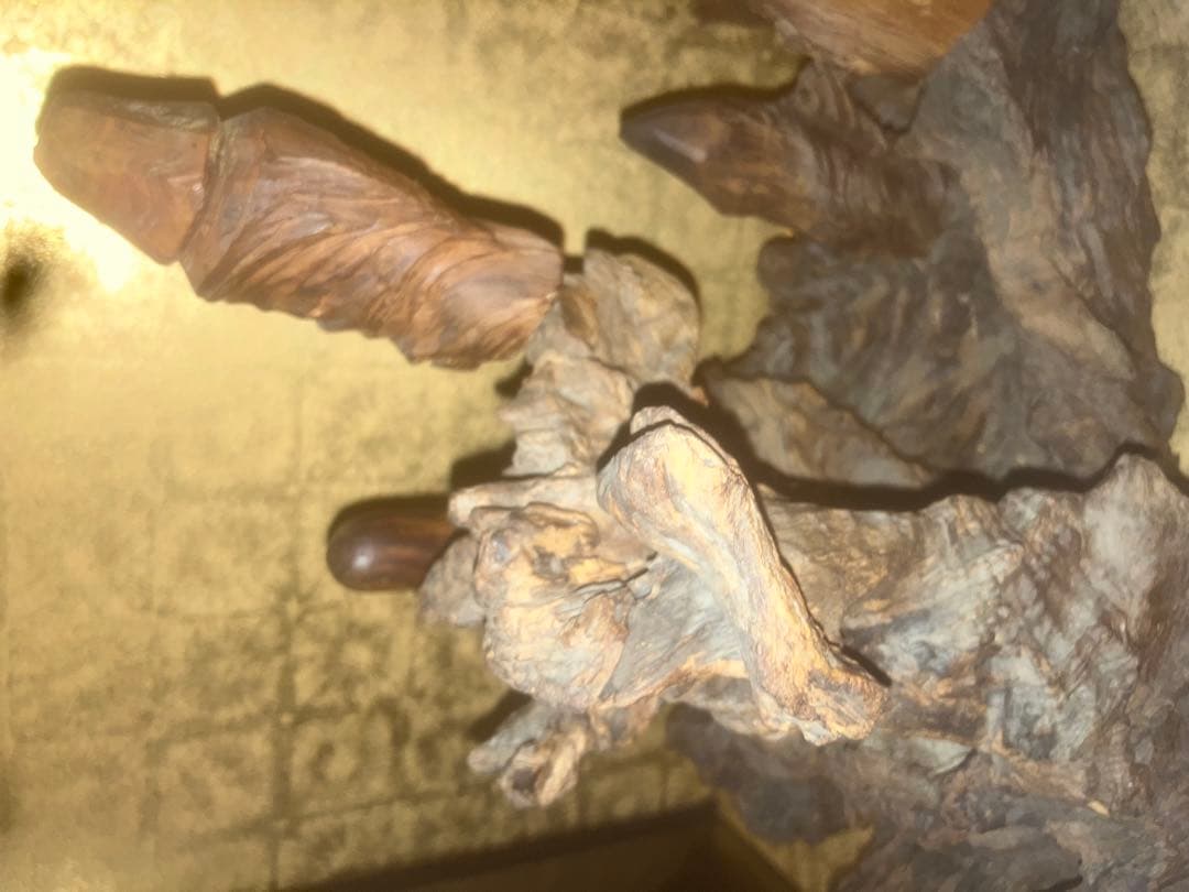 【超超特級呪物】超強力な福を呼ぶ　七福神様の宿る流木像　曰く付き　縁起物　開運