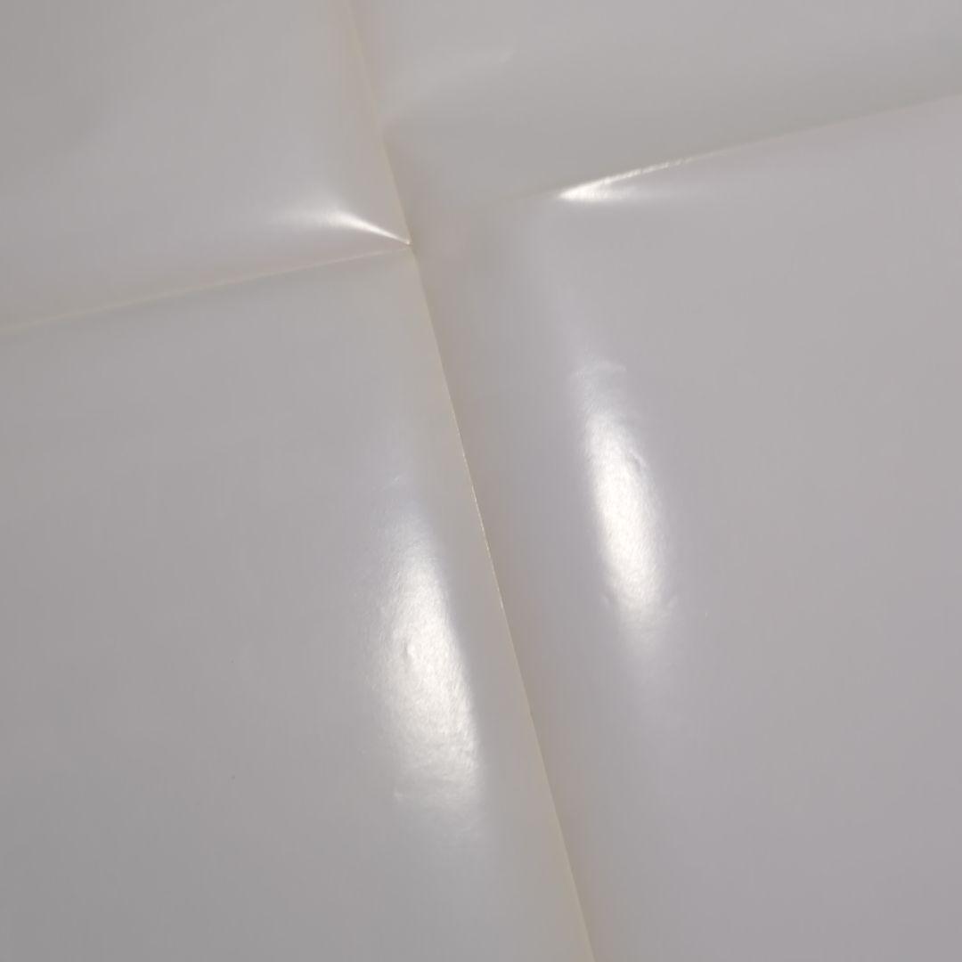 the GazettE ガゼット ピンナップ 45枚セット