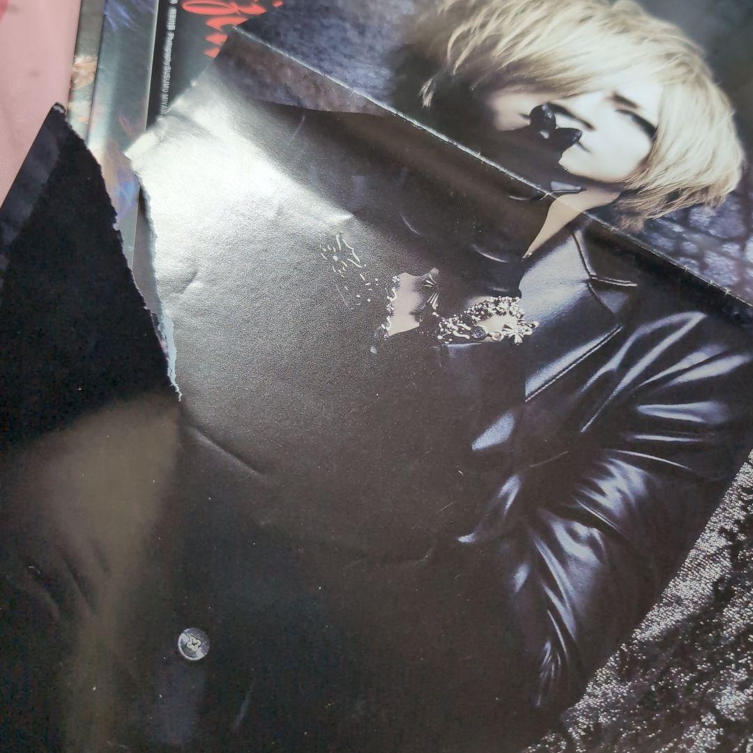 the GazettE ガゼット ピンナップ 45枚セット