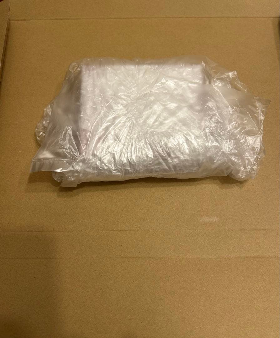 バカラ　オーナメント　2024年　クリスマスオーナメント　置物