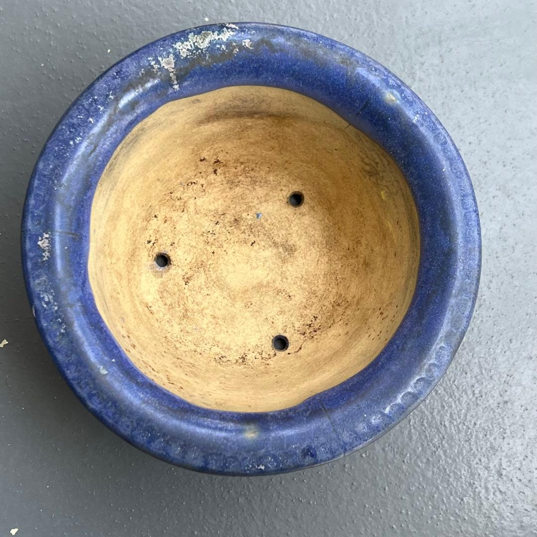 745.獅子丸 丸鉢 盆栽鉢 植木鉢 14.2*6.2cm