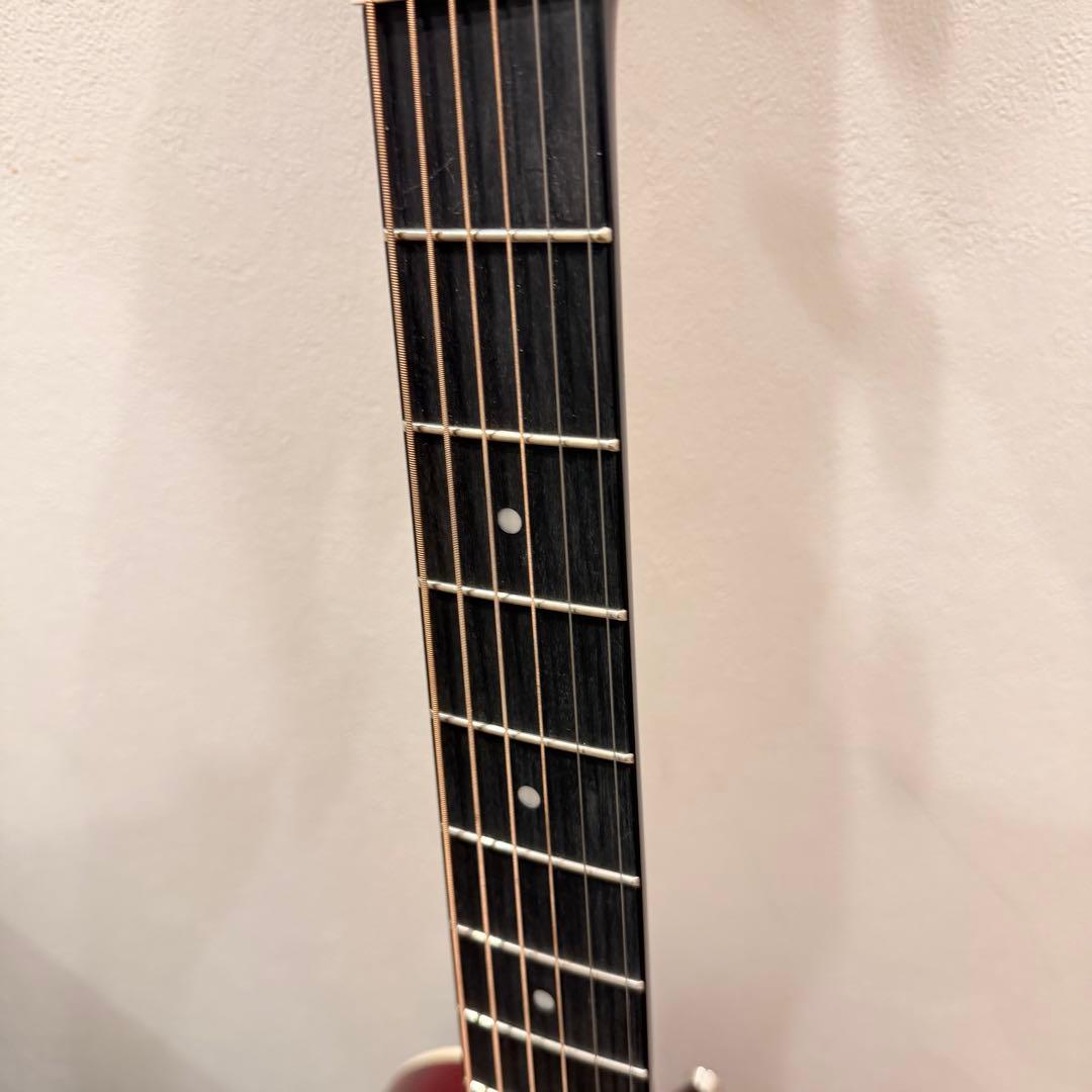 MORRIS G-021 ギター Reunion Blues RBC03 ケース