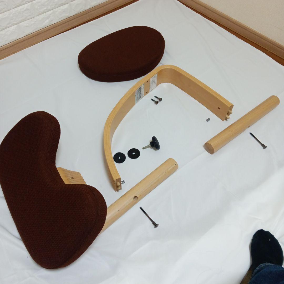 【送料込み】バランスラボ balans Easy バランス イージー 姿勢矯正