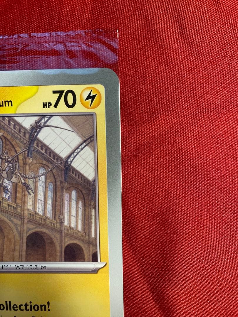 イギリス　ロンドンピカチュウ　 Pikachu at the Museum