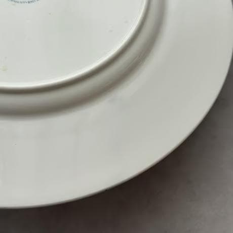 Villeroy & Boch ディナープレート Blue castle