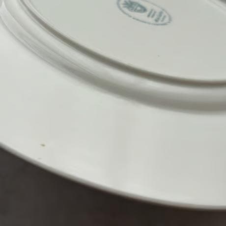 Villeroy & Boch ディナープレート Blue castle