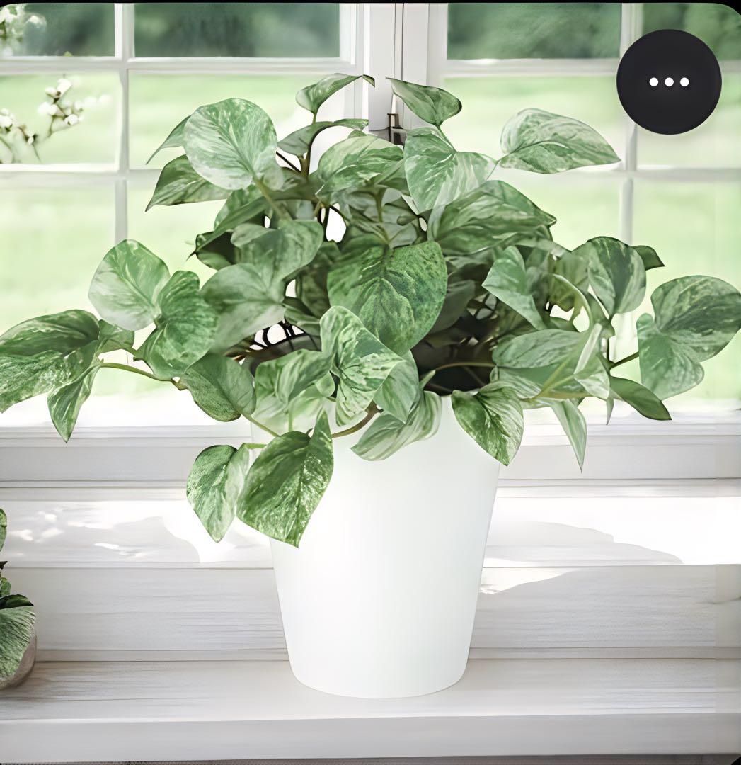 光触媒　人工観葉植物　ウォールグリーン　フェイクグリーン　マーブルポトス3030