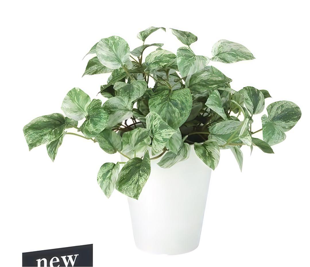 光触媒　人工観葉植物　ウォールグリーン　フェイクグリーン　マーブルポトス3030