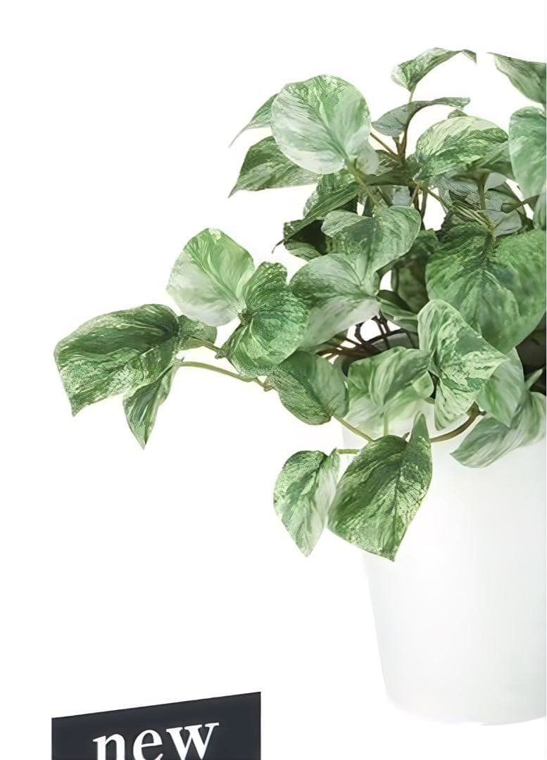 光触媒　人工観葉植物　ウォールグリーン　フェイクグリーン　マーブルポトス3030