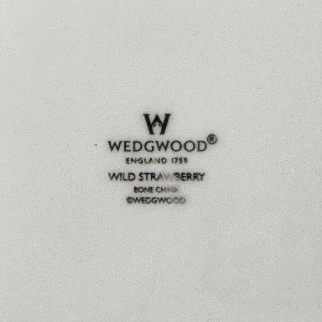  WILD STRAWBERRY プレート皿5枚セット 大1中4