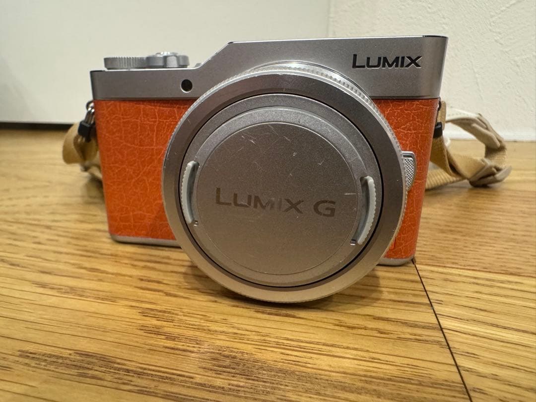 Panasonic LUMIX DC-GF9W ダブルレンズキット　ケース付