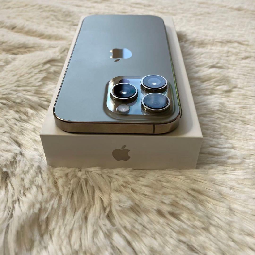 【2/30販売終了】iPhone 16 Pro 256GB 【即発送】