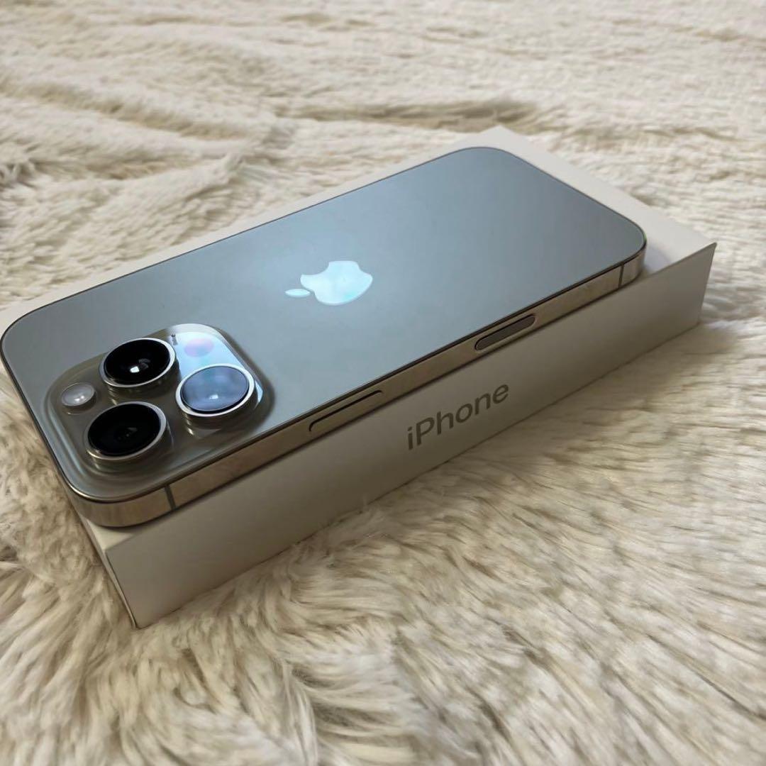 【2/30販売終了】iPhone 16 Pro 256GB 【即発送】