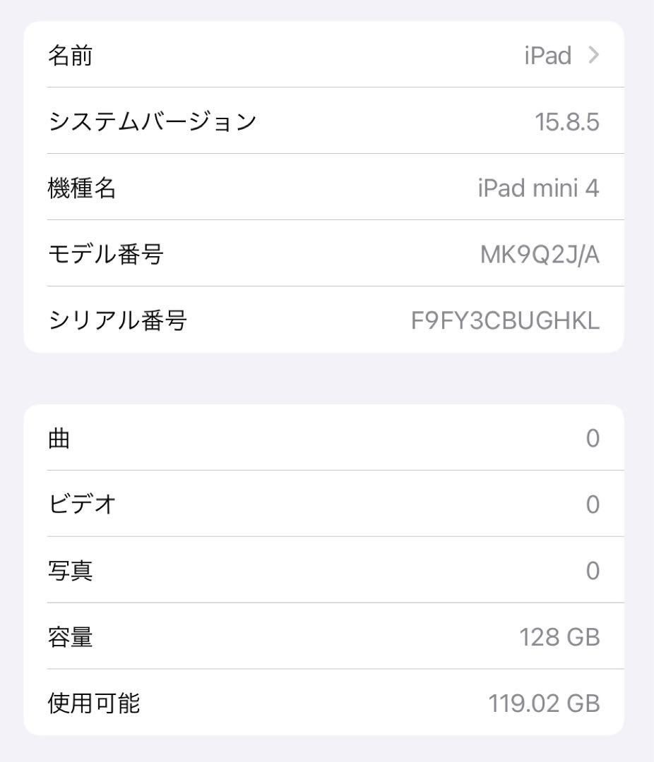 K*6様 iPad mini 4 128GB