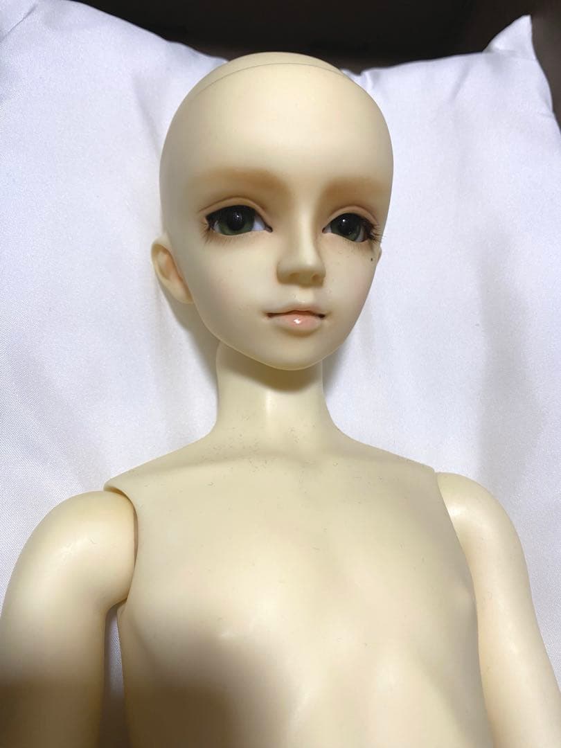 スーパードルフィーSD13 フルチョイス40