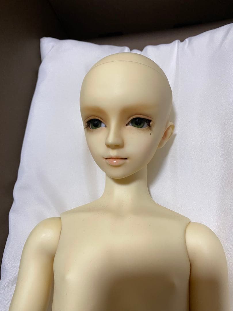 スーパードルフィーSD13 フルチョイス40