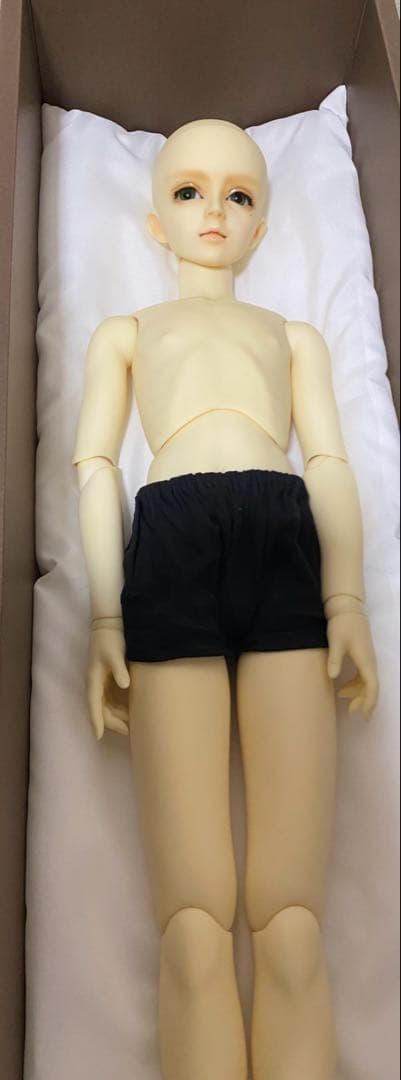 スーパードルフィーSD13 フルチョイス40