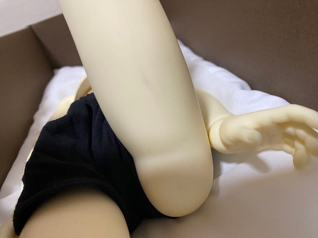 スーパードルフィーSD13 フルチョイス40