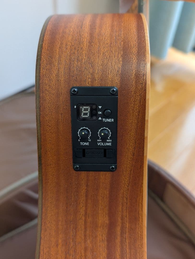 Taylor Swift ギター Baby-T おまけ付き