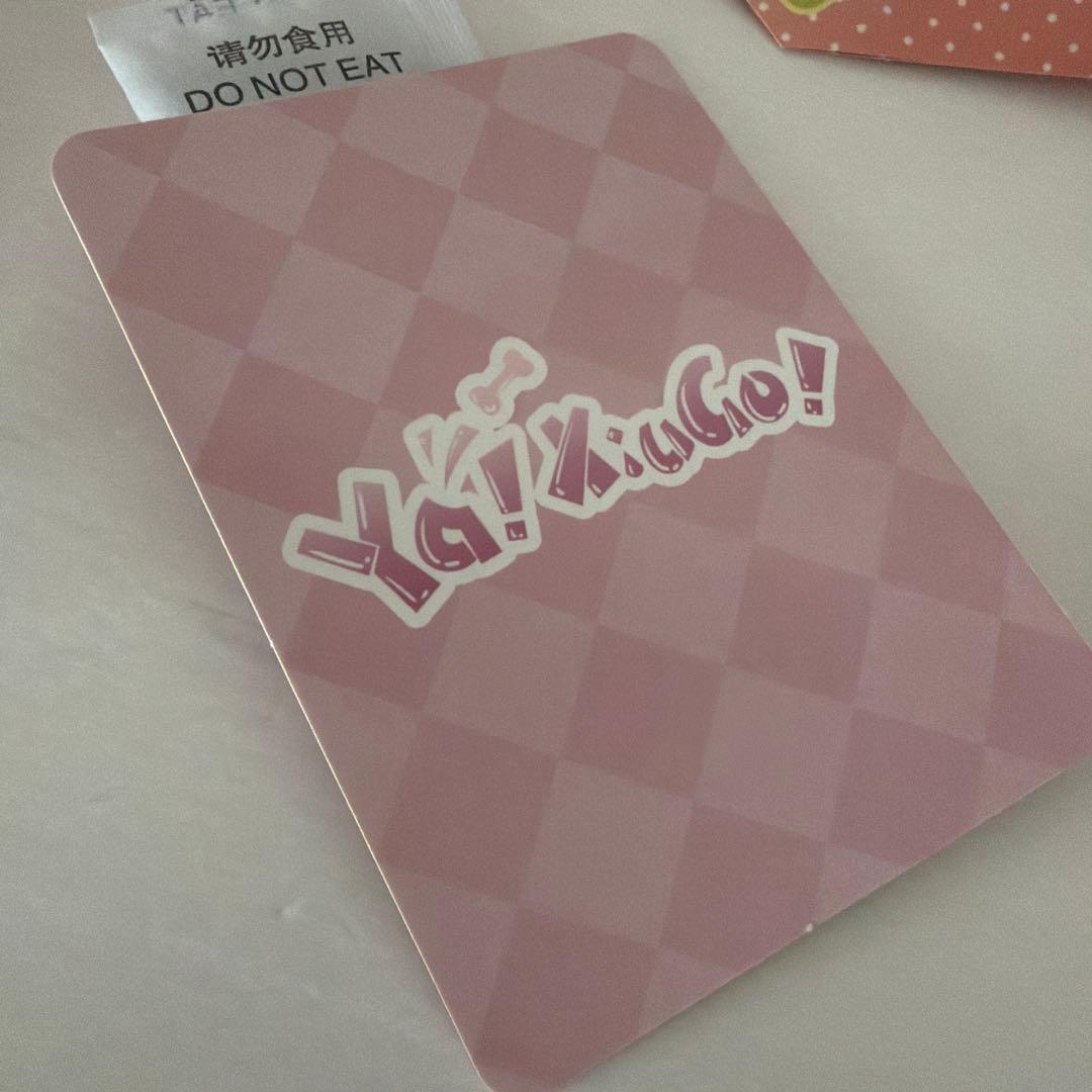 Ya! XiuGo シゥゴ うさぎ ブラインドドール ブランクヘッド付き