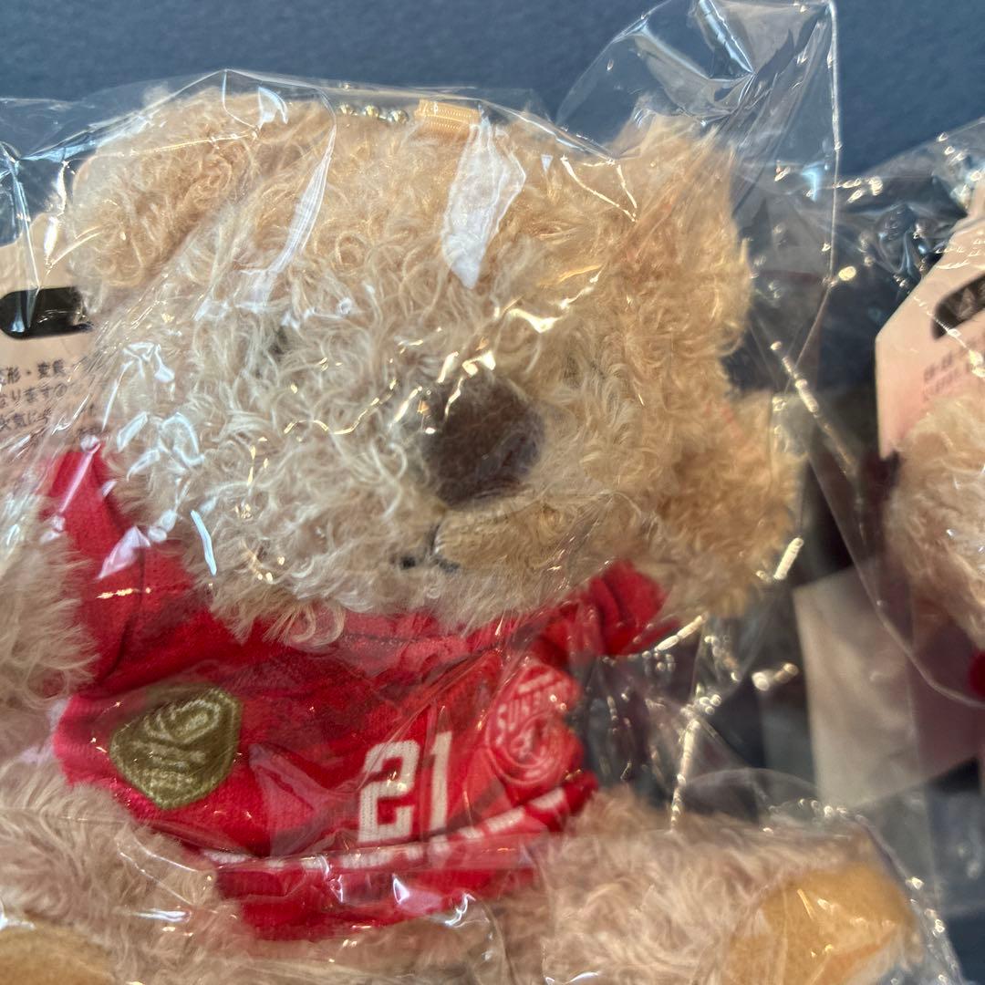 サンバーズ　らんるい　ココア　ユニフォームベア　サントリー　髙橋藍　髙橋塁