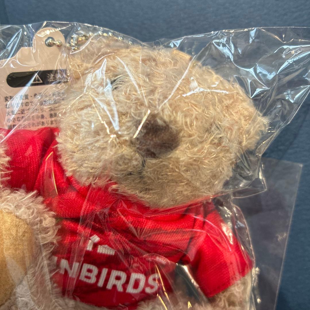 サンバーズ　らんるい　ココア　ユニフォームベア　サントリー　髙橋藍　髙橋塁