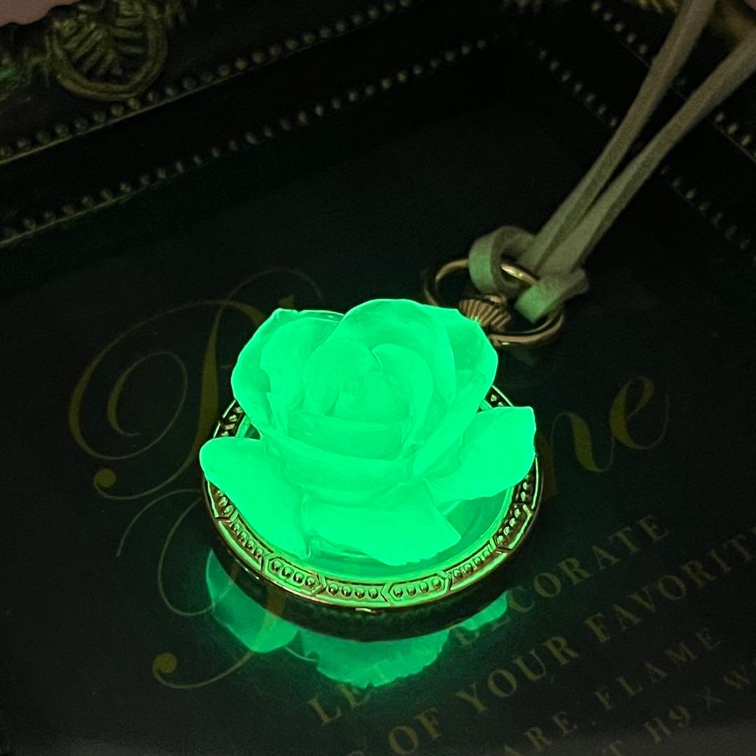 恐ろしく輝く薔薇のペンダント【月と猫】
