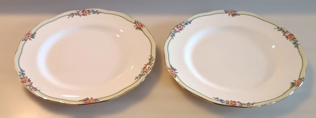 希少ロイヤルアルバートハーテイントンディナープレート 2枚セット