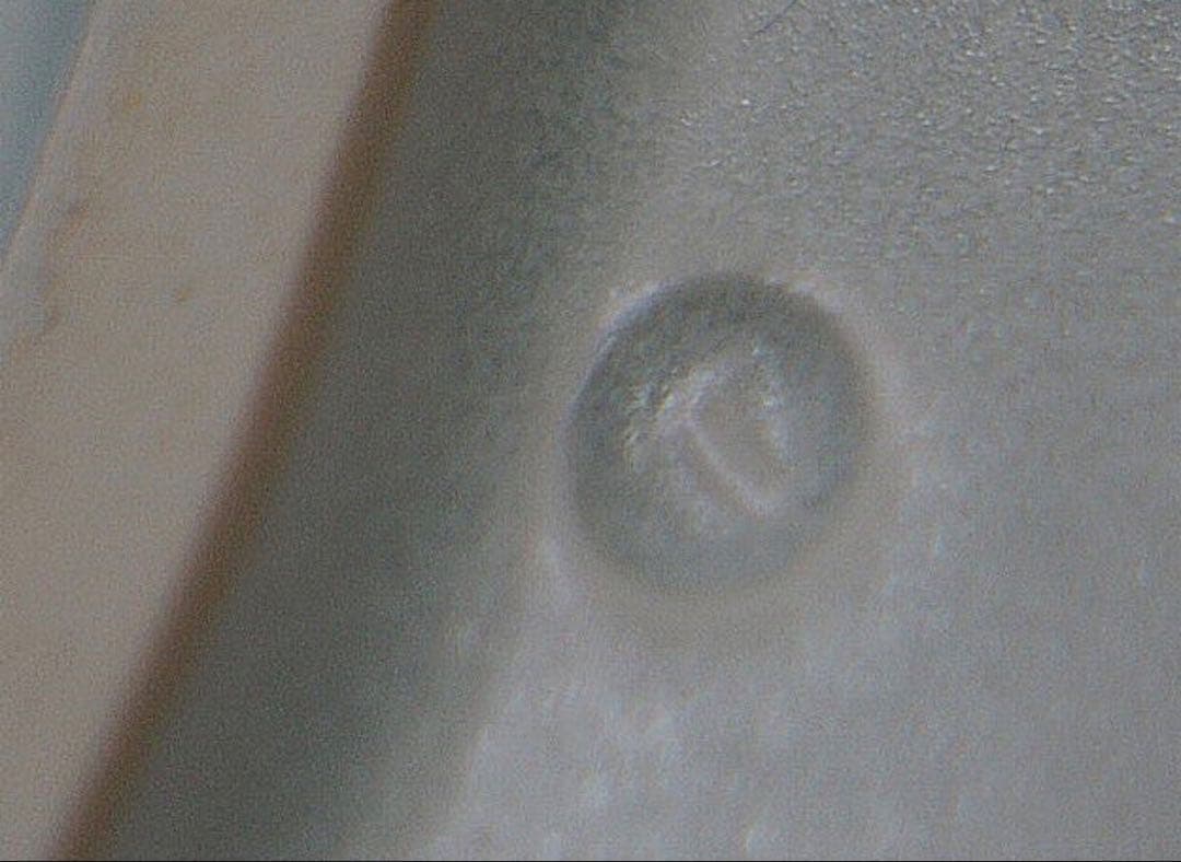 黒田泰蔵　白磁 大皿 径48.5cm 共箱