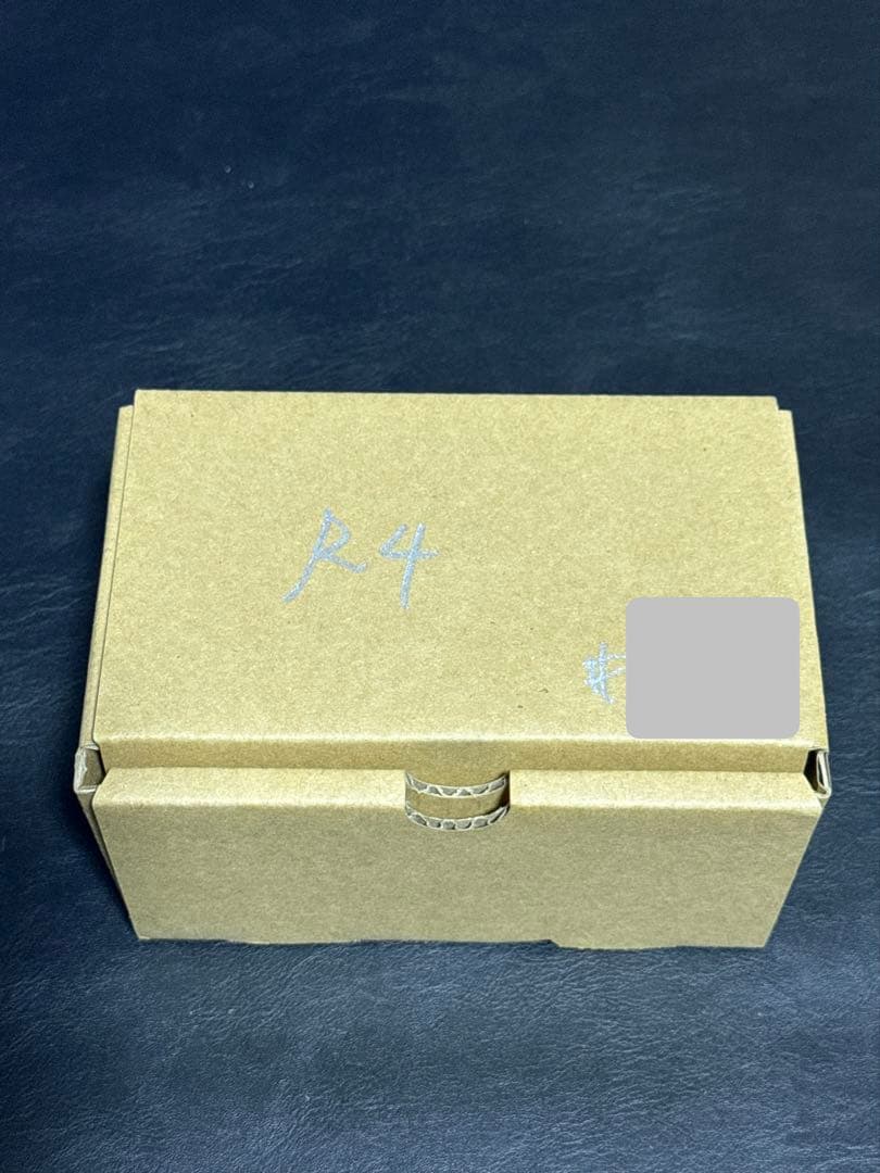 ギター leqtique EVR EHV-R4 aka \"4/4 EHV\"