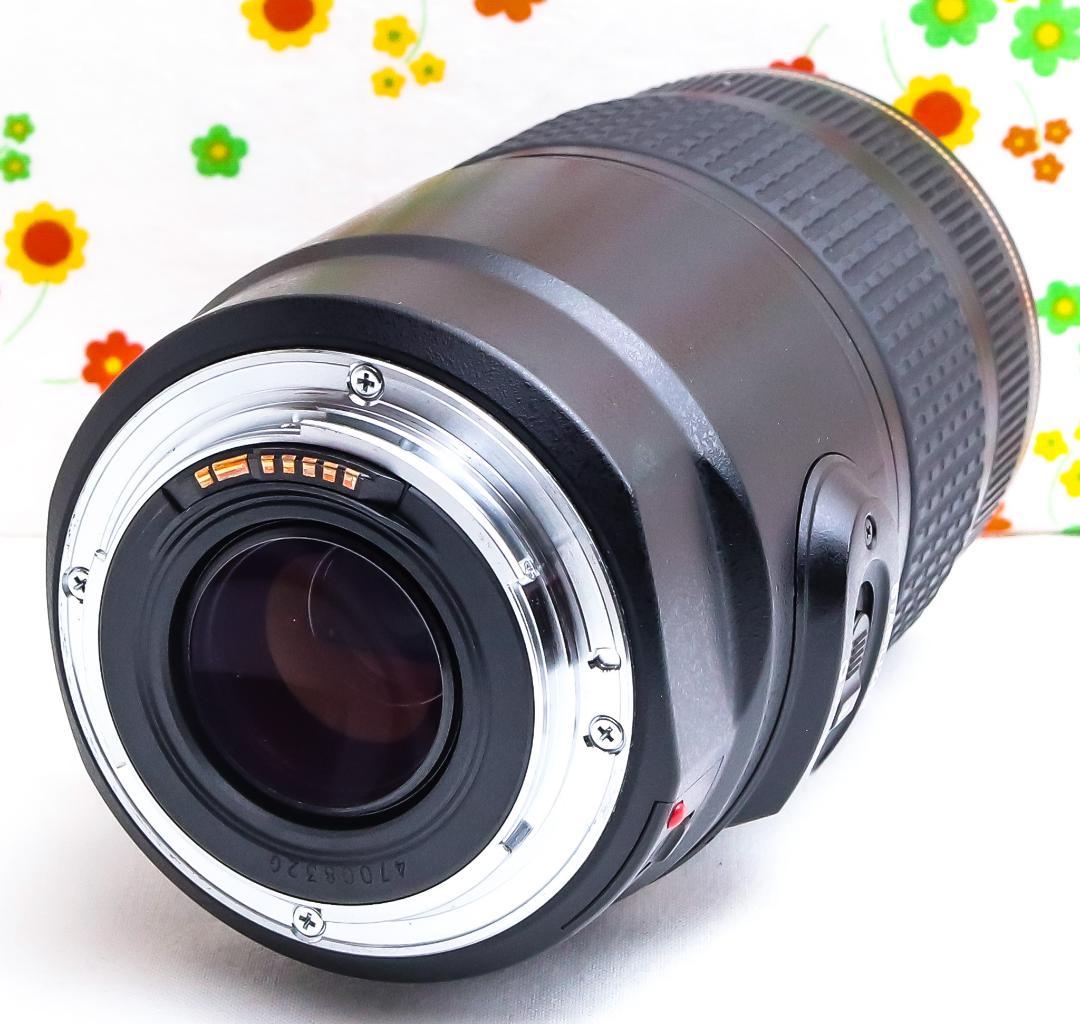 Canon EF 75-300mm IS USM☆超望遠レンズ☆レンズフード付