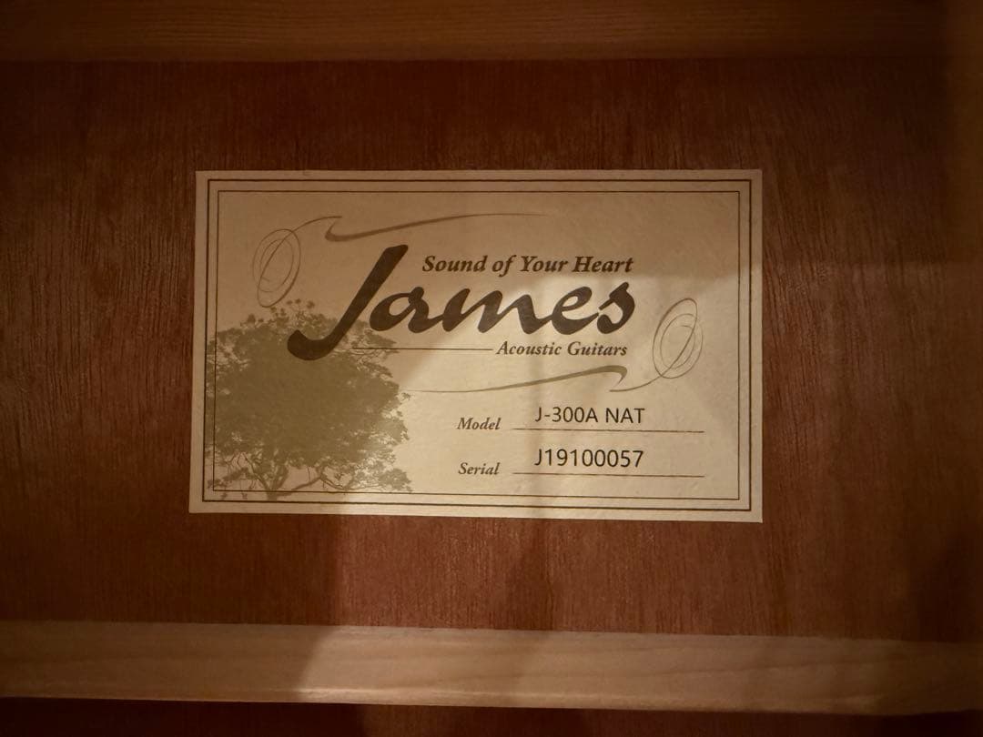 【美品】James J-300A NAT アコースティックギター 初心者セット