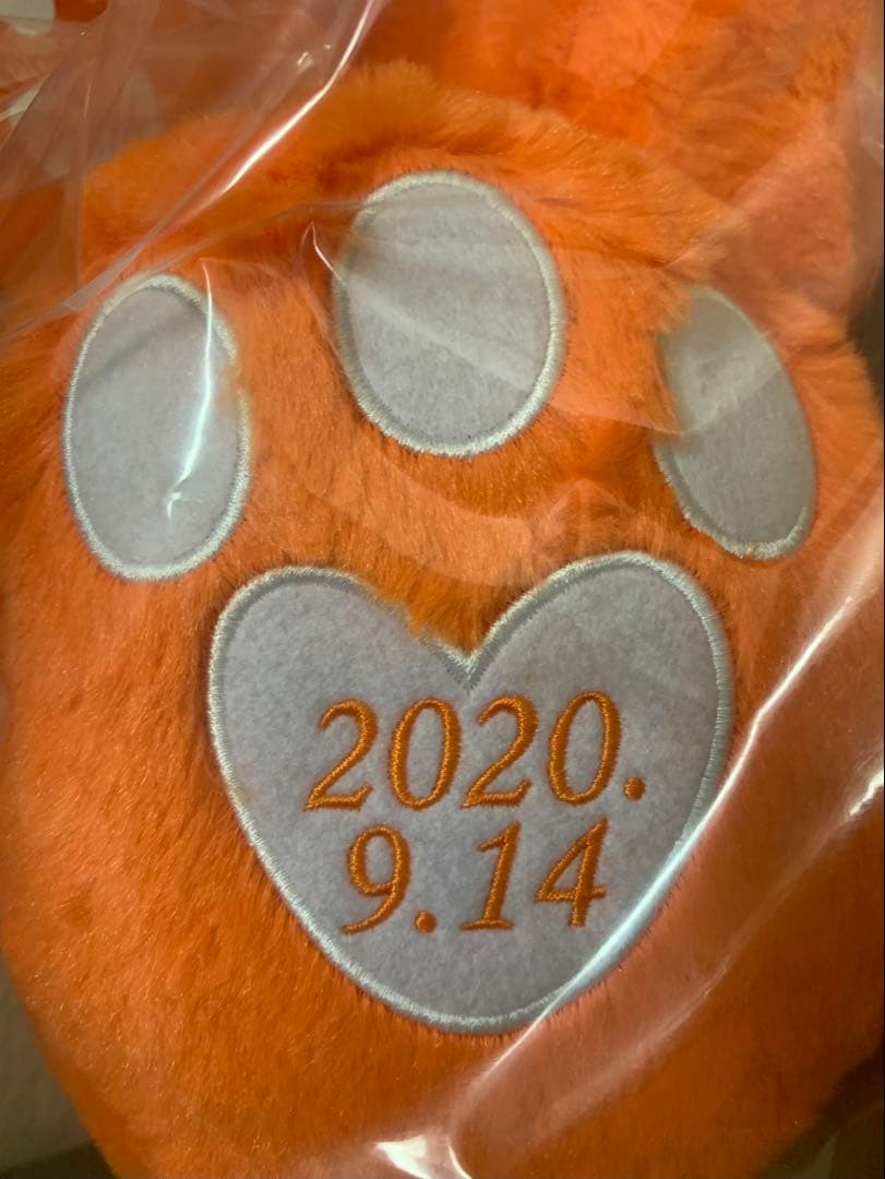 AAA 15th Anniversary え〜パンダBIGぬいぐるみ【オレンジ】