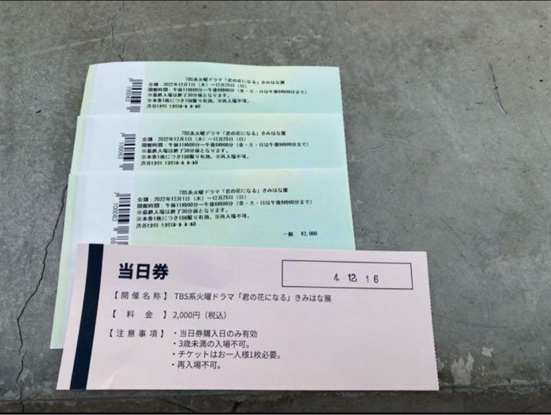 きみはな展 歌詞カード 君の花になるきみはな展入場特典 5枚セット 8LOOM