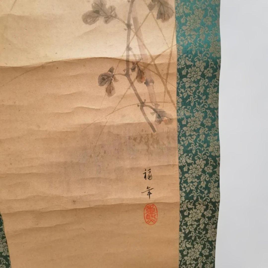 菊花図 掛軸 肉筆 福平 落款 印章有 木箱付 200cm 床の間 秋掛け