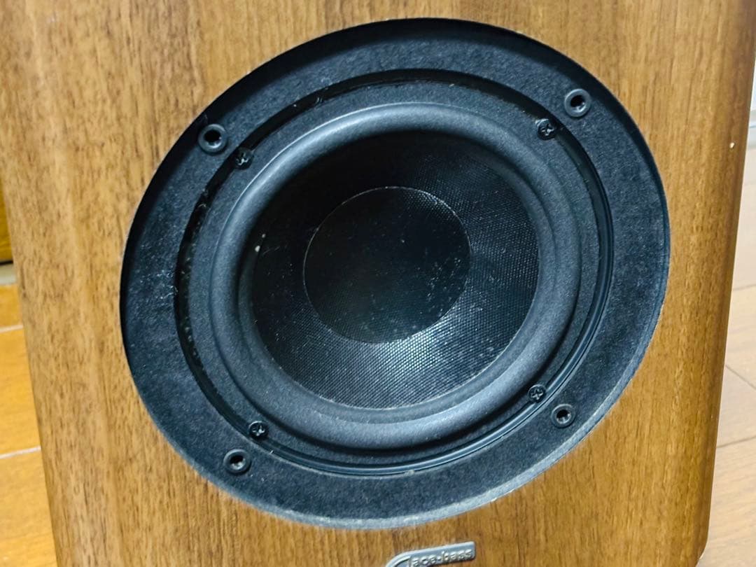 Audio Pro アクティブサブウーハー　SW-150