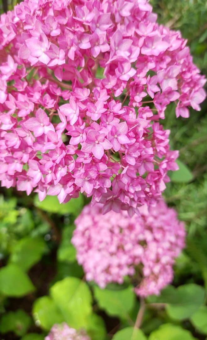 十三郎☆彡☘️ページ•*¨*•.¸♬︎