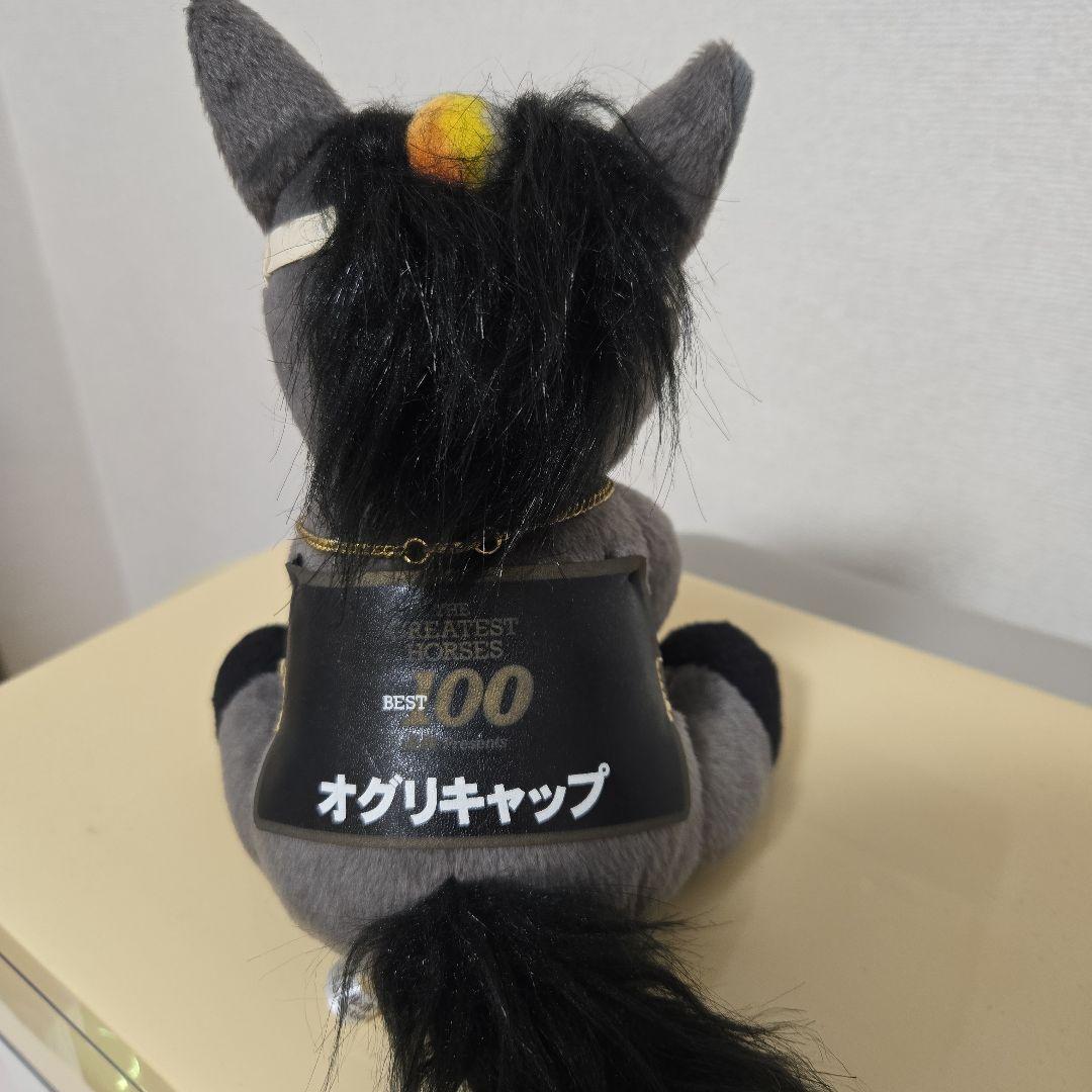 オグリキャップ　アイドルホース