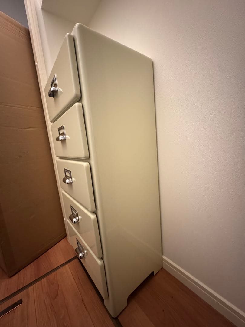 ダルトン DULYON 5 ドロワーズ チェスト