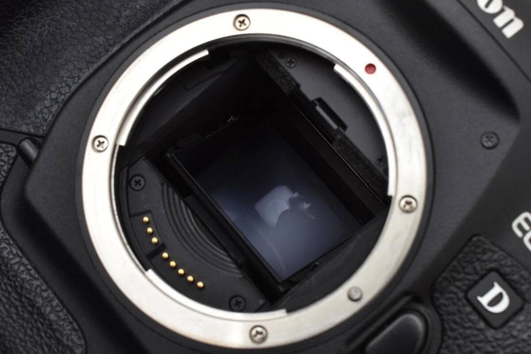 キヤノン CANON EOS-1 D MarkII デジタル一眼レフボディ