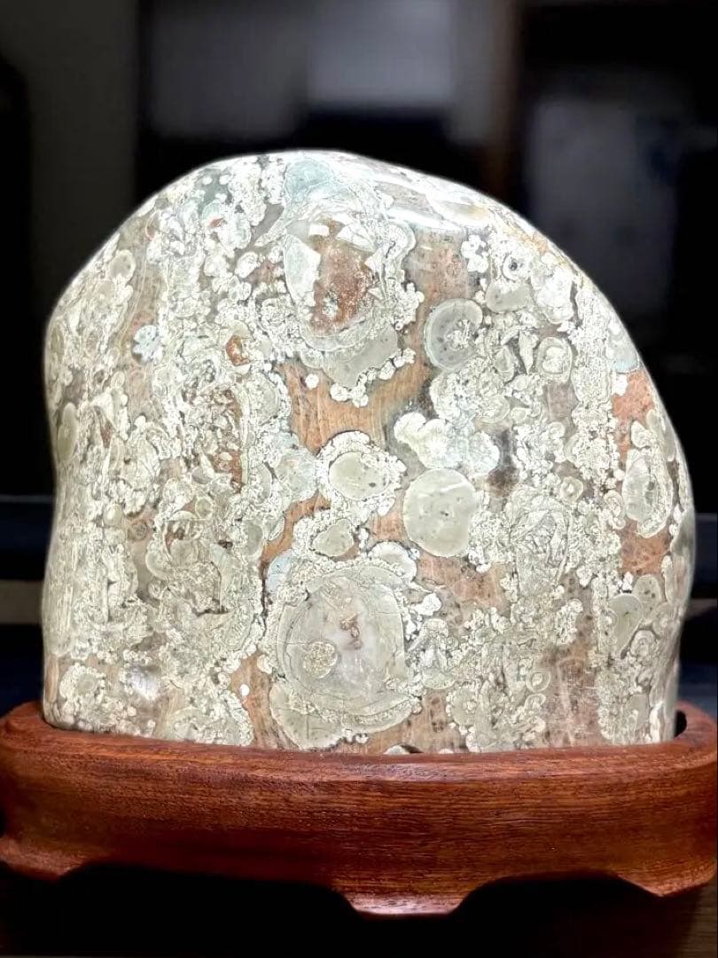 越前　梅花石　鑑賞石 紋様石 花模様 花石 水石　2163g 花梨台　希少