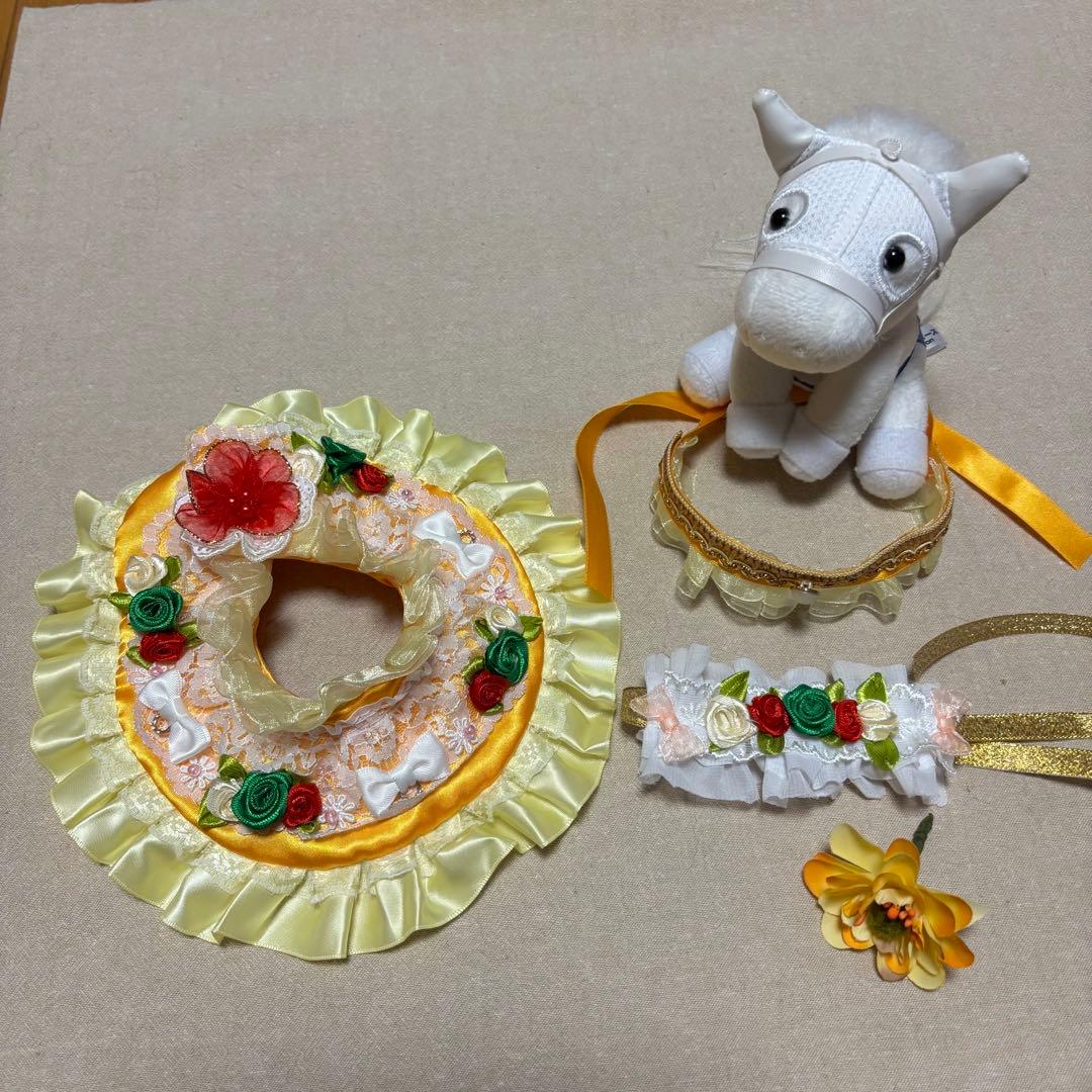 アイドル❣️ホース❣️ドレス❣️マント❣️