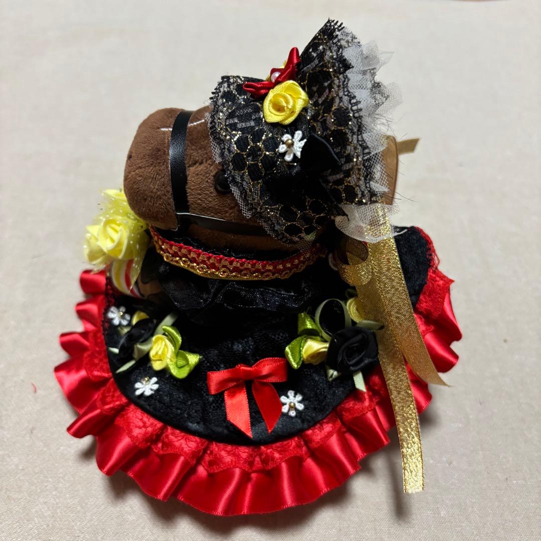 アイドル❣️ホース❣️ドレス❣️マント❣️