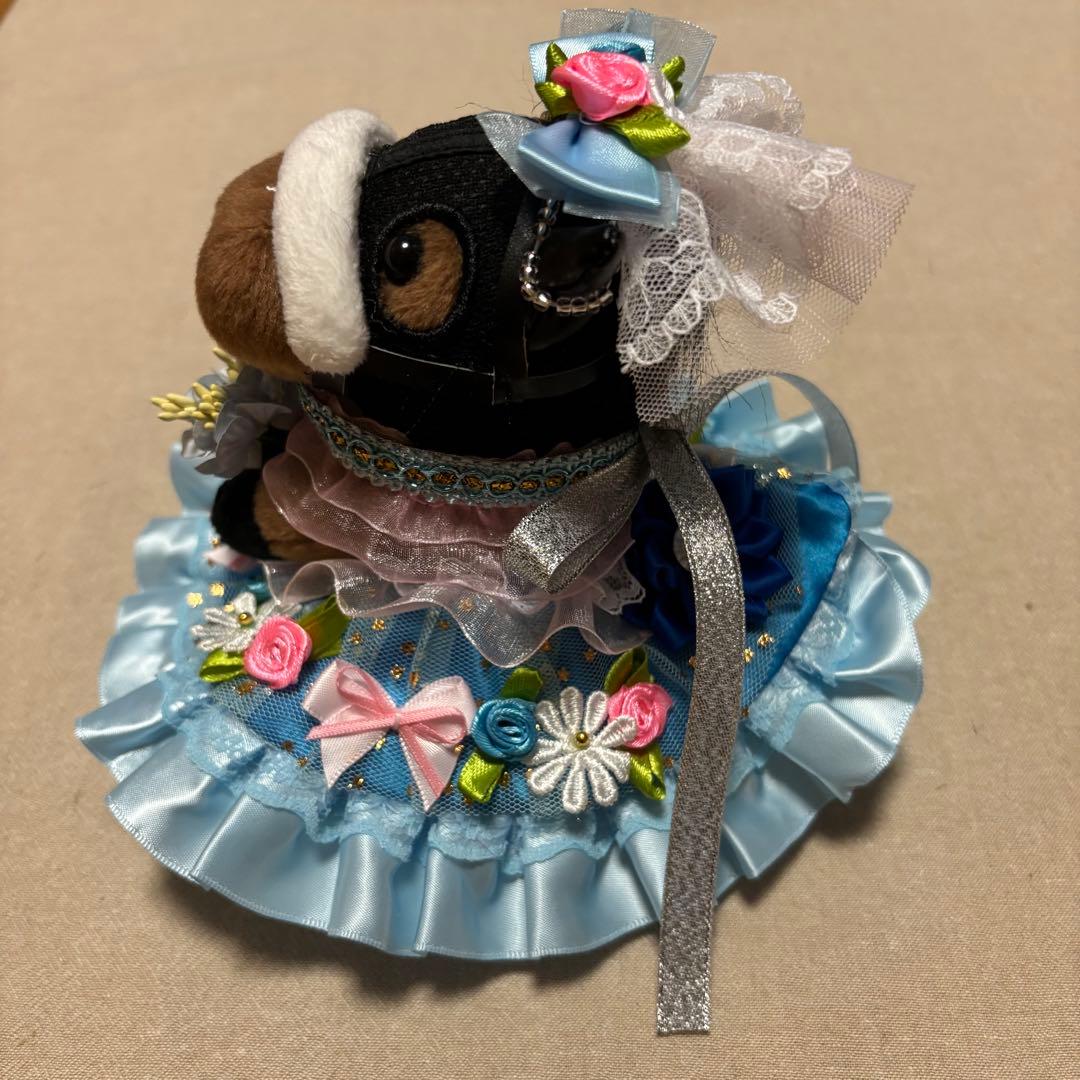 アイドル❣️ホース❣️ドレス❣️マント❣️