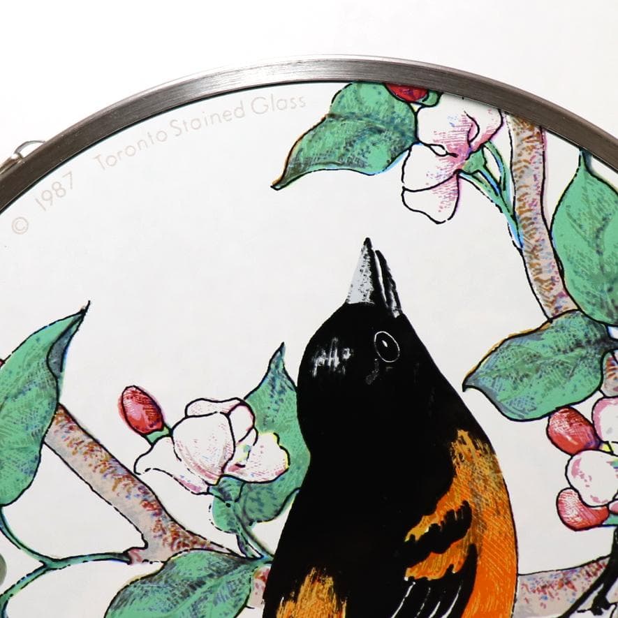 ボルチモアムクドリモドキ ヴィンテージ ステンドグラス トロント カナダ 鳥