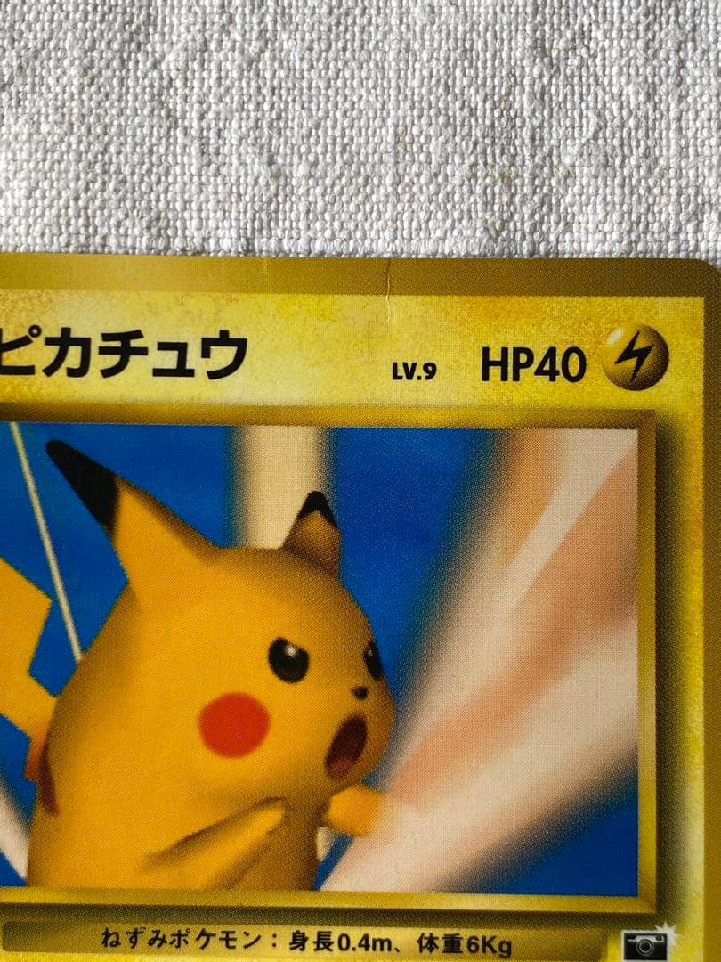 旧裏　ピカチュウ ポケモンスナップ　ポケモンカード公式マガジン「トレーナーズ」