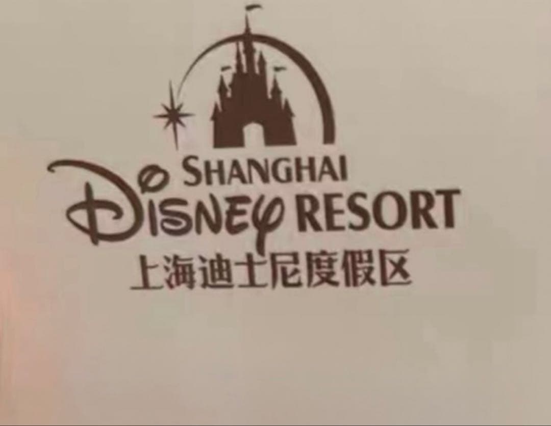 専用　上海ディズニー　お誕生日お祝い　リーナベル　2点